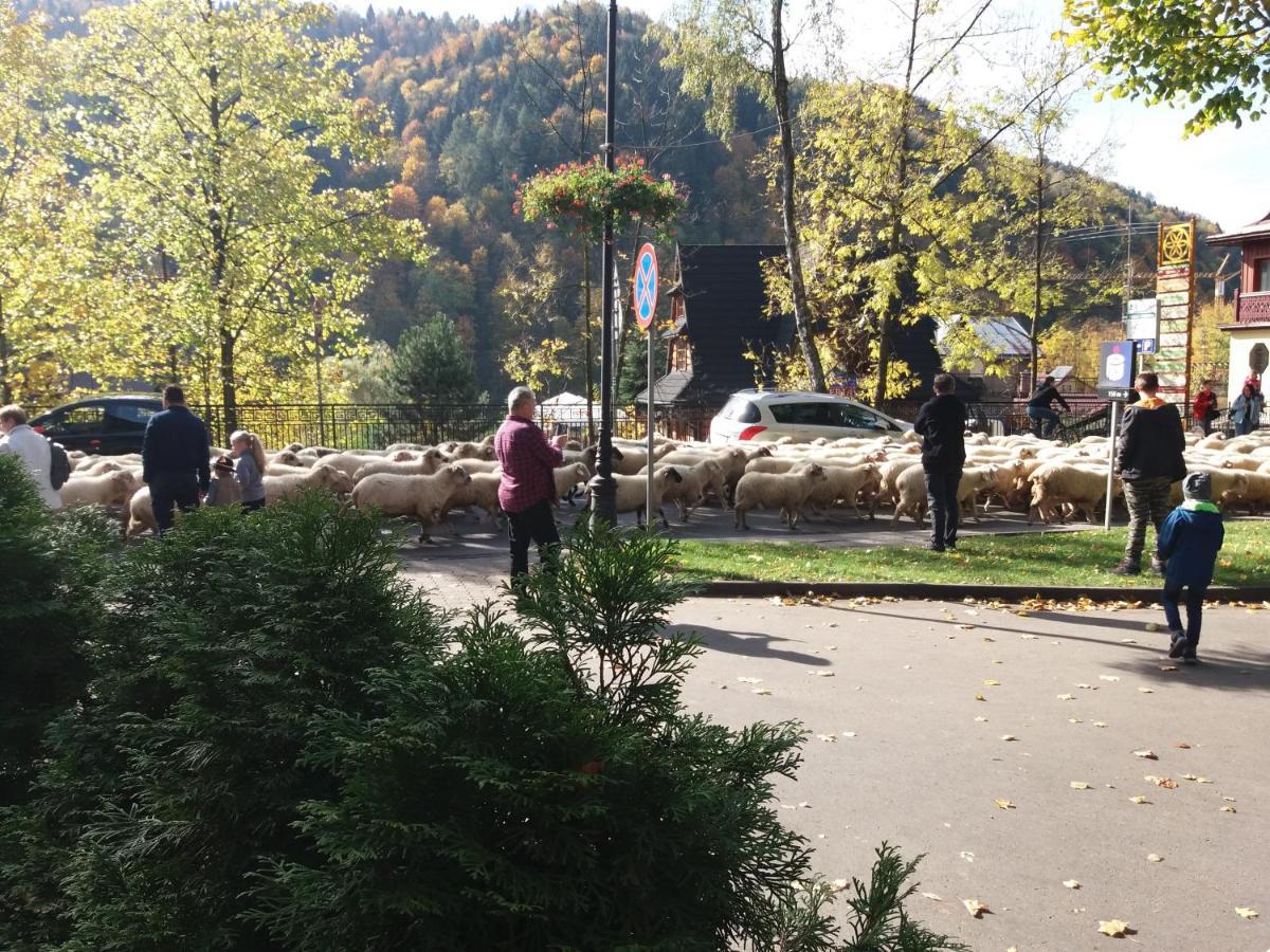 Sloneczny Szczawnica